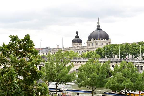 Berthier & Associés Lyon - Expert Immobilier 3 Grand hôtel Dieu Lyon